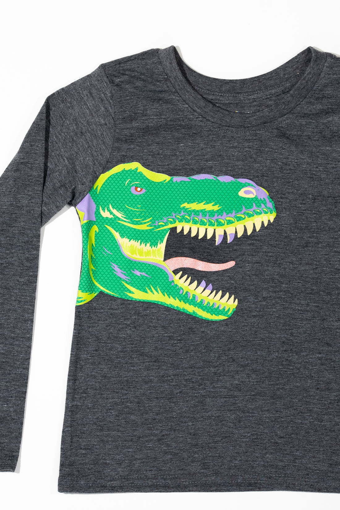Long Sleeve Dino Graphic Tee